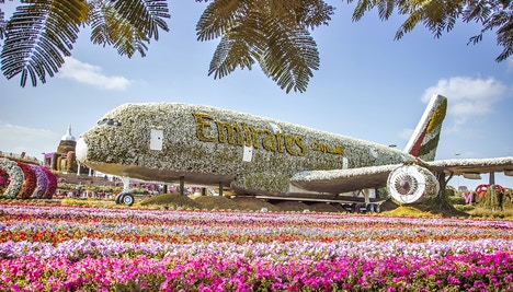 Dubai Miracle Garden Tickets