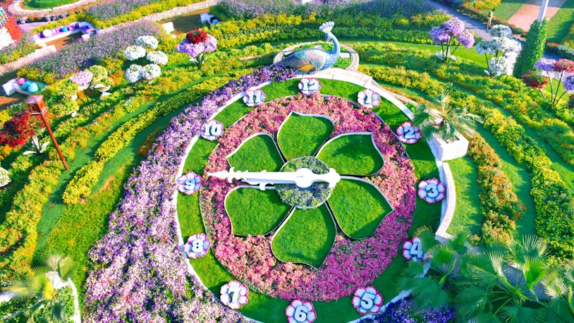 miracle garden dubai tickets